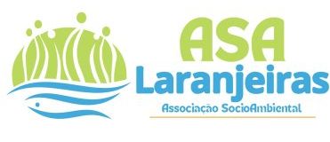 Asa Laranjeiras